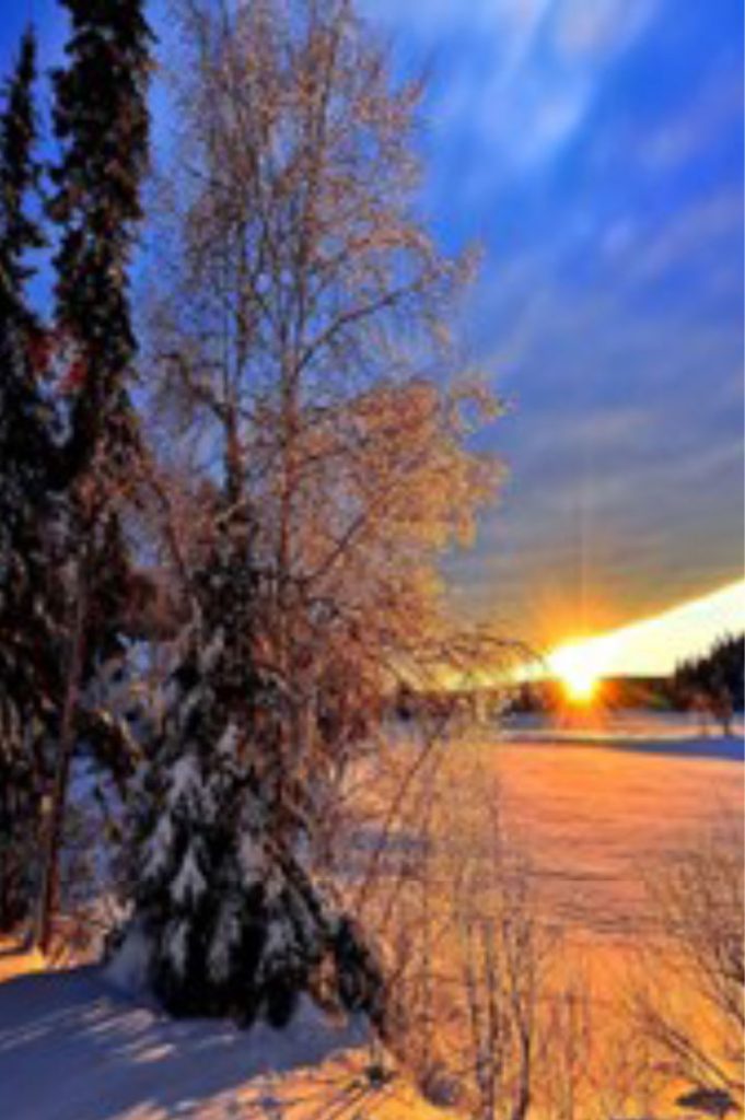 Pine trees covered in snow surrounding a lake with the sun rising over a hill